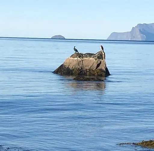 Amazing In Spectacular Lyngen * Russelv