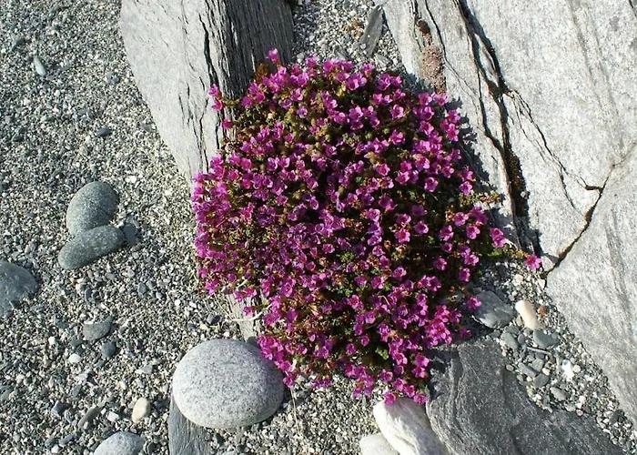 Amazing In Spectacular Lyngen Σπίτι διακοπών