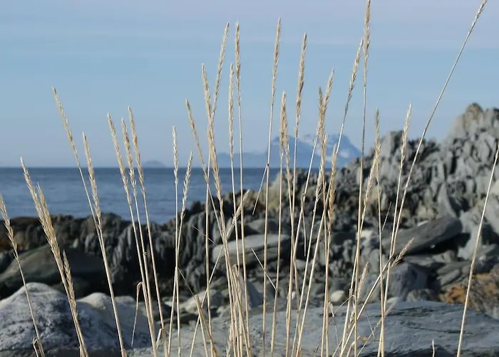 Amazing In Spectacular Lyngen