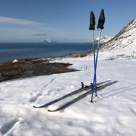 Amazing In Spectacular Lyngen Semesterbostad *