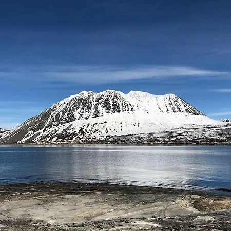 Amazing In Spectacular Lyngen Semesterbostad