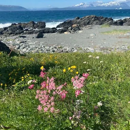Semesterbostad Amazing In Spectacular Lyngen